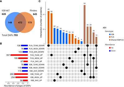 Proteomic exploration reveals a metabolic rerouting due to low oxygen during controlled germination of malting barley (Hordeum vulgare L.)